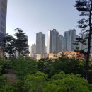 아울렛1공인중개사사무소 이미지