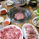 뼈대있는갈비 이미지