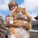 메인메디칼 이미지