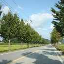 오남2리 이미지