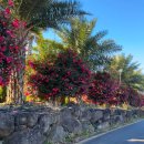 제주스피드코너 이미지