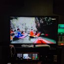 야자수 노래연습장 이미지