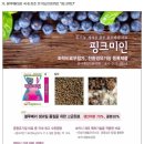 [공구] 블루미인/핑크미인/자농CPK 공동구매(2. 28일까지)-마감 이미지