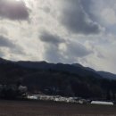 비솔농장 이미지