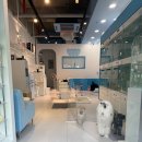 엘리시안퍼피 이미지