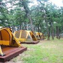 연곡해변 이미지