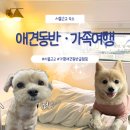 서울애견마트 | 서울근교 여행 가평애견동반글램핑 올덴카라반캠핑장 솔직 후기