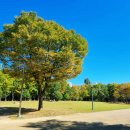 바른정백외과의원 이미지