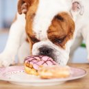 윤슬동물병원 이미지