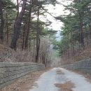 절터골2 네이버블로그
