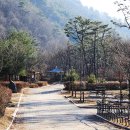 횡성군 병지방 오토캠핑장 이미지