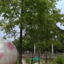 찬우물근린공원 이미지