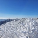 달밭골민박매점