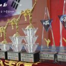 연세 태권도장 이미지