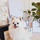 웅상유치원 이미지