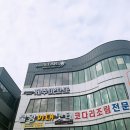 제주마꼬또 이미지