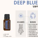 딥블루