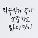 캘리그라피 이미지