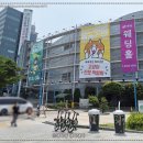 망고펫살롱 | 2025 궁디팡팡 캣 페스타, 고양이 전문 박람회 후기