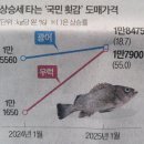 버들냉면 이미지