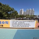 푸른파트너스 | 고령 아이랑 물놀이 좌학근린공원 가볼만한곳 * 방문후기