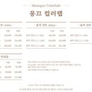 몽끄컬러랩