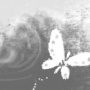 바다의숨결 이미지