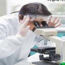 짱가 - 여수시 시청동2길 21 | 짱가
