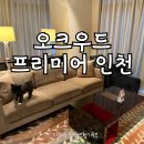호텔 썬플라워 투 | 오크우드 프리미어 인천 애견동반 호텔 투베드룸 스위트 호캉스