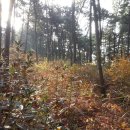 월평 삼거리 이미지