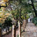 울산문화관광정보 이미지