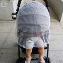 유모차