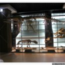 태백고생대자연사박물관 이미지