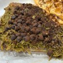 와플대학 부산정관캠퍼스 이미지