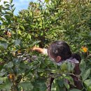 진기농장 이미지