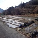 진전면101 이미지