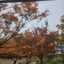 큰샘아트카페 | 자주 방문하고 있는 안양예술공원카페