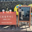 제주코삿호다