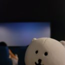 하루에 2만보 걷는 여행.
