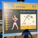 장흥생활체육공원 이미지