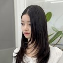 하이헤어샵 이미지