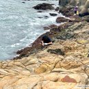 봉돌이봉순이 한옥민박 이미지