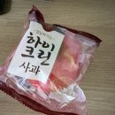 경상북도 청송군청 | 청송호 물안개 피어오른 아침, 기억하고 싶은 가을 풍경