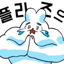 구좌리얼크니손칼국수 이미지
