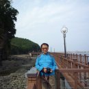 수성당약국 Daum카페