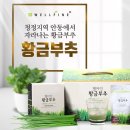 싱그런녹즙 | 건강식품추천 : 웰파인 황금부추 천연발효 부추즙 ♩