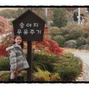 우유샘목장 이미지