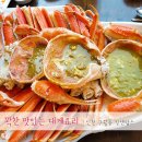 킹앤랍스