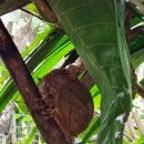 해상농장 | 보홀 여행 일정 육상투어 예약한 후기