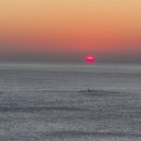 초도항 성게조형물 | 최북단 여행 고성 양양 5부